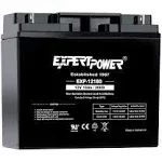 ExpertPower EXP12180 12V 18Ah Lead Acid Battery