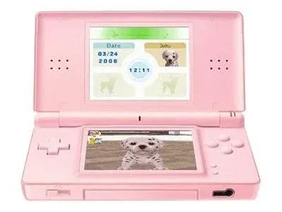 Nintendo DS Lite