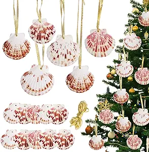 Christmas Seashells Beach Ornaments 10pcs, 2-3 inch Hanging Scallop Shells for ...