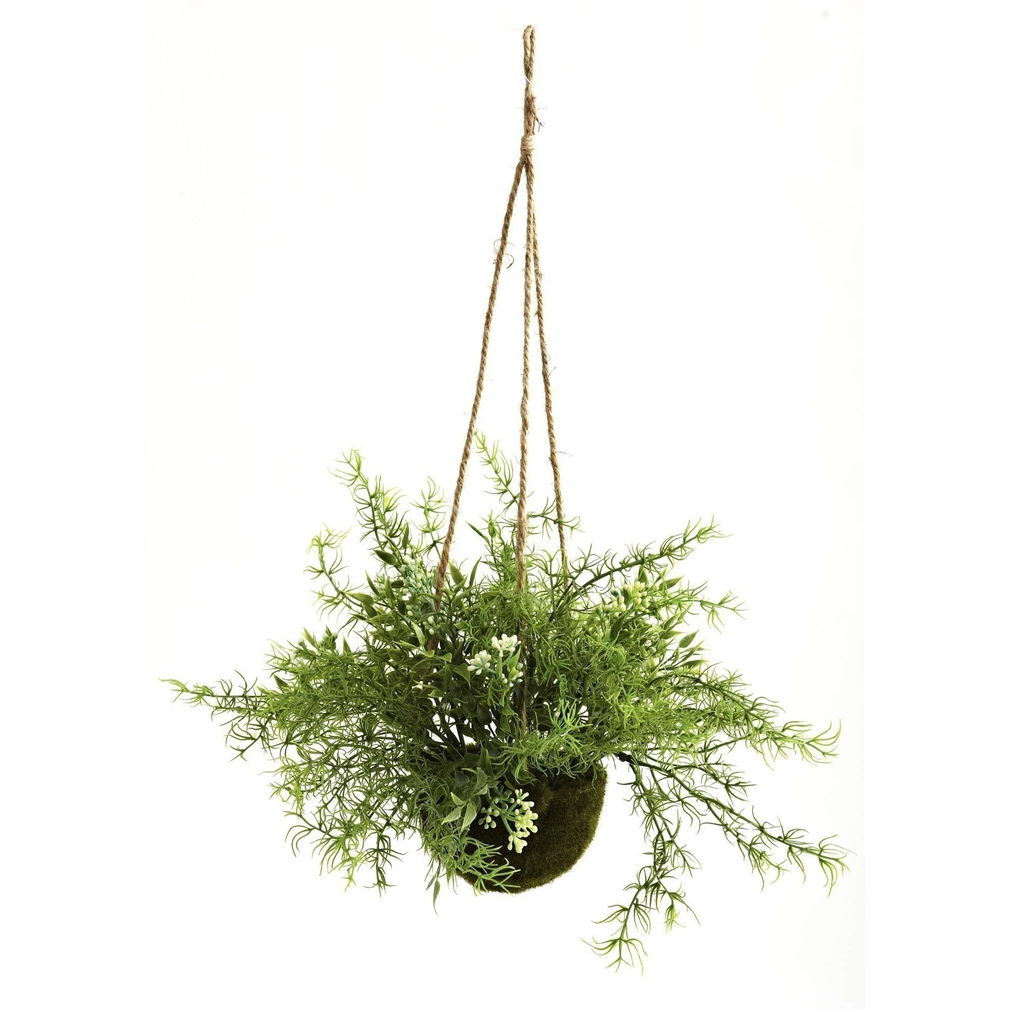 Nearly Natural Ruscus Sedum & Springeri Hanging Basket