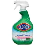 Clean-Up Clorox Cleaner with Bleach