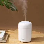 Saunana Portable Mini Humidifier