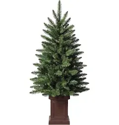 3.5ft. Unlit Berkeley Fir Artificial Potted Christmas Tree