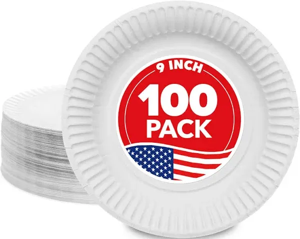 Stock Your Home 9-Inch Paper Plates Uncoated, Everyday Disposable Plates 9" Paper Plate Bulk, White, 100 Count