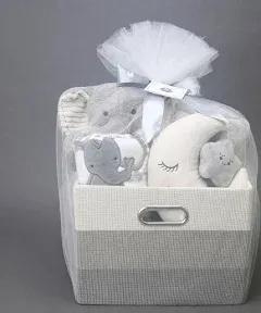 Luxury Gray 5-Piece Baby Gift Basket