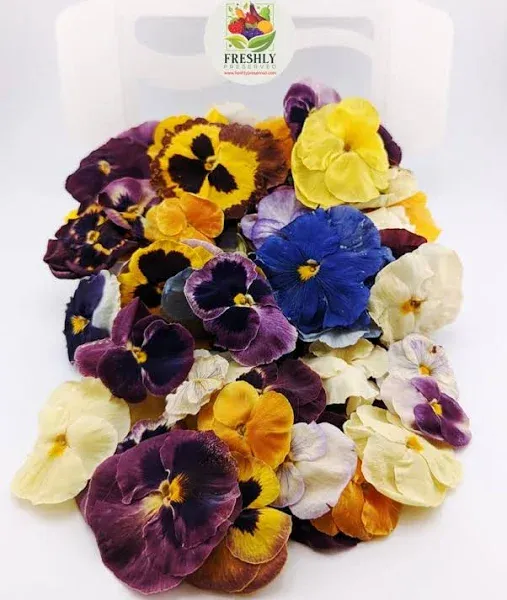 Freeze-Dried Edible Pansies