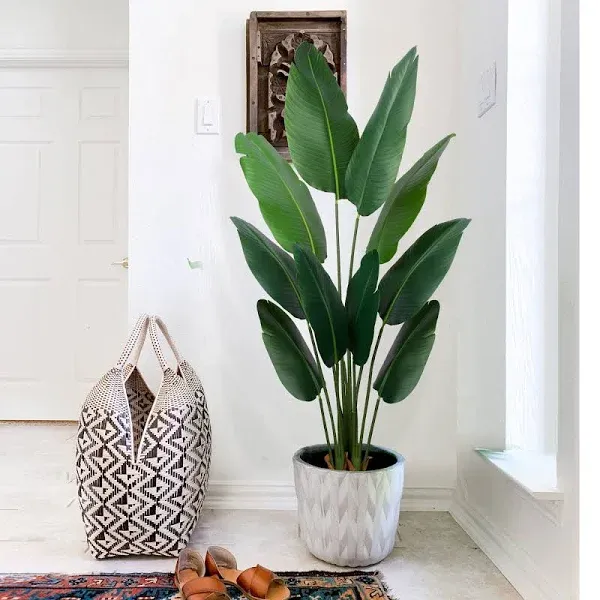 Artificial Bird of Paradise Plant 5 Ft Tall Fake Banana Leaf Plant for Indoors a