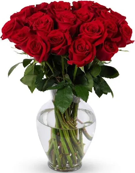 Benchmark Bouquets 24 Stem Red Roses Glass Vase Included Gift Fresh Flowers f...