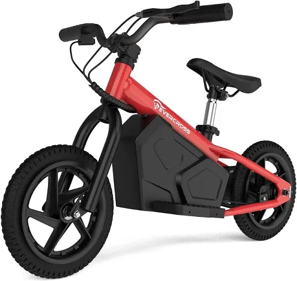 EVERCROSS EV06M Electric Bike for Kids: 24V 100W