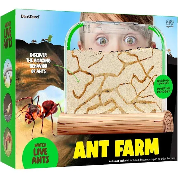 Ant Farm Kit for Kids - Ants Farms Colony - Sand Habitat Kits - Bug Terrarium