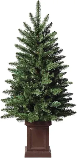 3.5ft. Unlit Berkeley Fir Artificial Potted Christmas Tree