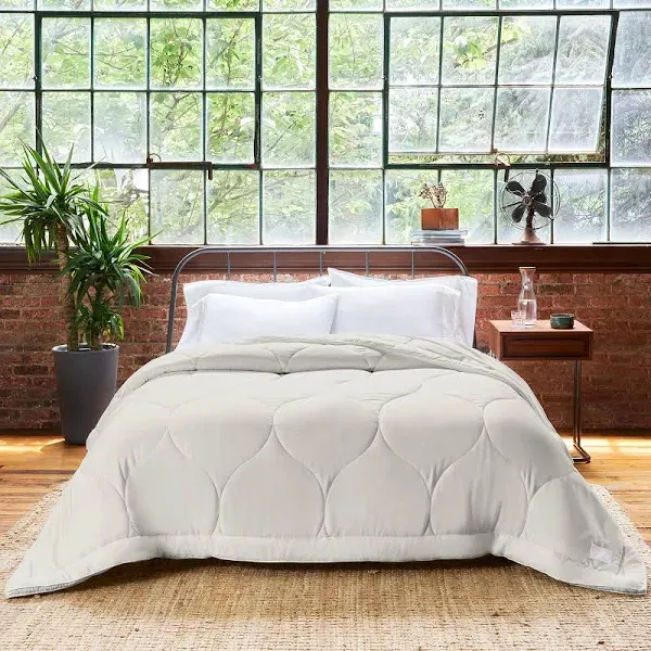 Buffy Cloud Eucalyptus Twin XL Comforter in White