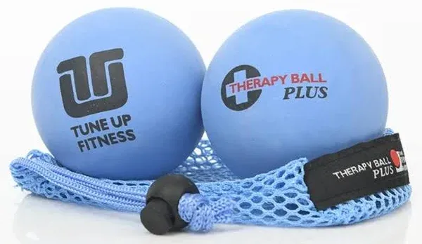 Tune Up Fitness Therapy Ball Plus Pair in Tote