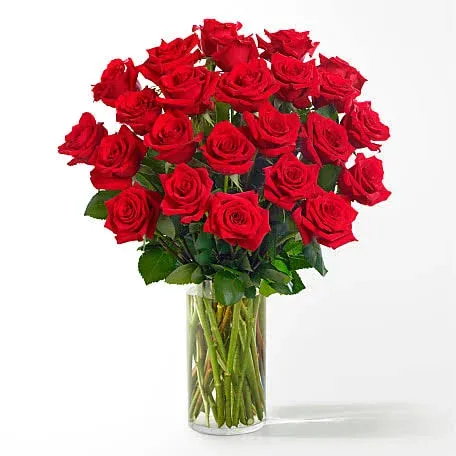 FTD Two Dozen Red Rose Bouquet