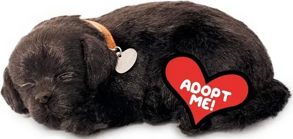 Perfect Petzzz - Original Petzzz Black Lab, Realistic, Lifelike Stuffed Interactive Pet Toy, Companion Pet Dog with 100% Handcrafted Synthetic Fur