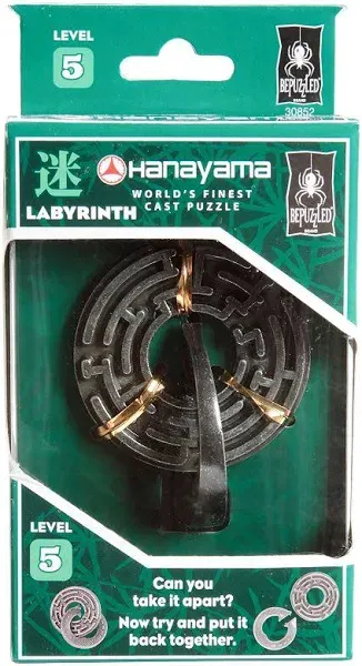 Hanayama Cast Puzzle - Labyrinth - Level 5