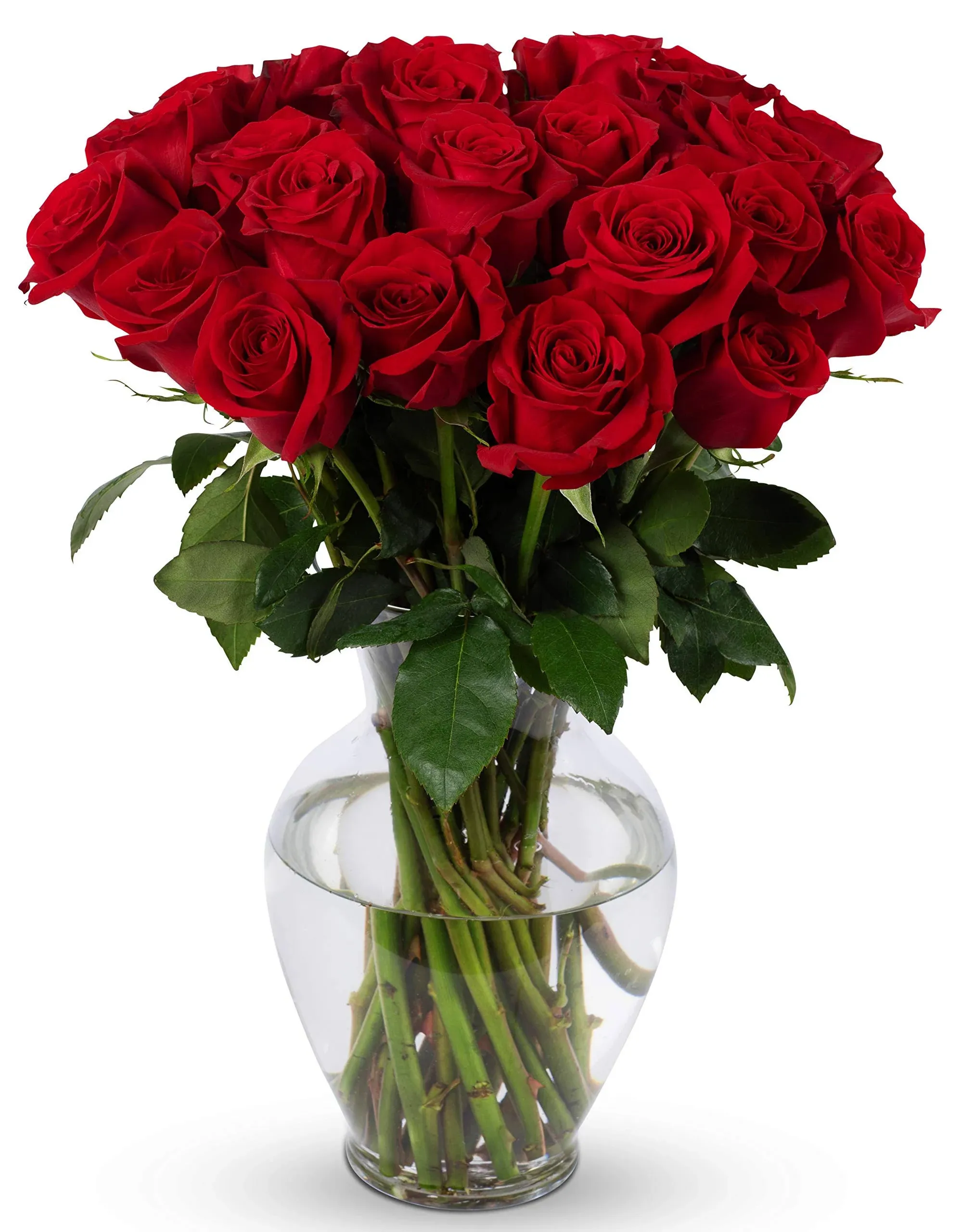 Benchmark Bouquets 2 Dozen Red Roses, with Vase (Fresh Cut Flowers)