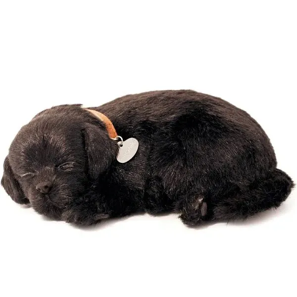 Plow & Hearth 12.75" Battery-Operated Perfect Pezzz Sleeping Puppy In Black Lab