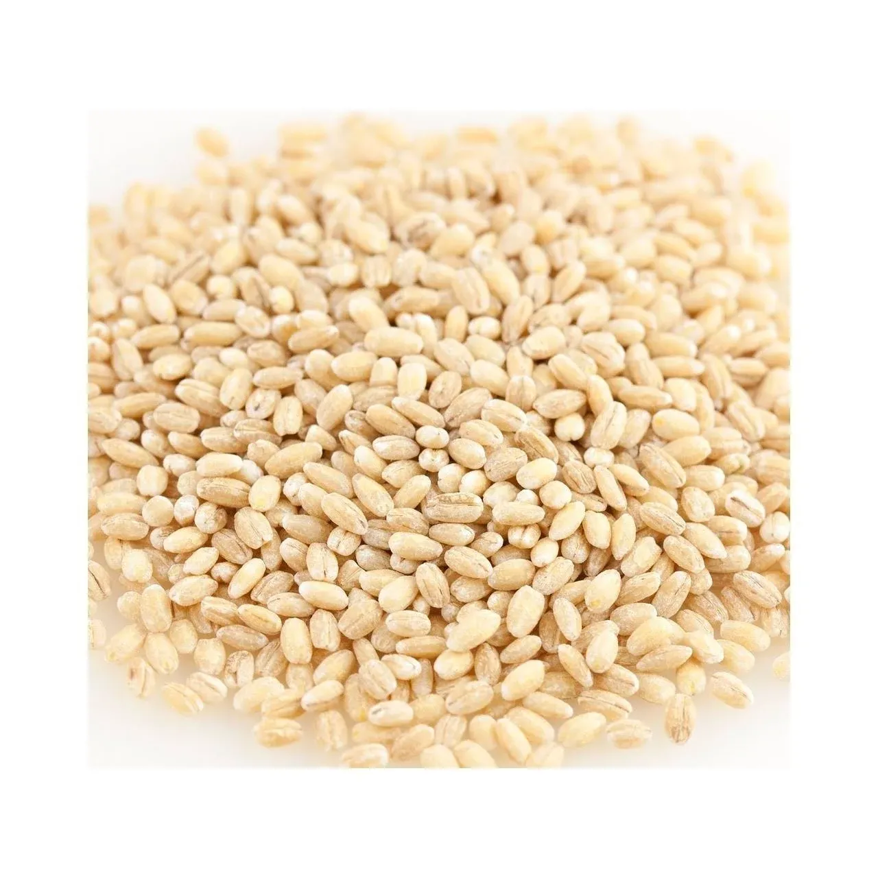 | Non-GMO Organic Hulled Barley | Made in the USA | 2 lb Bag