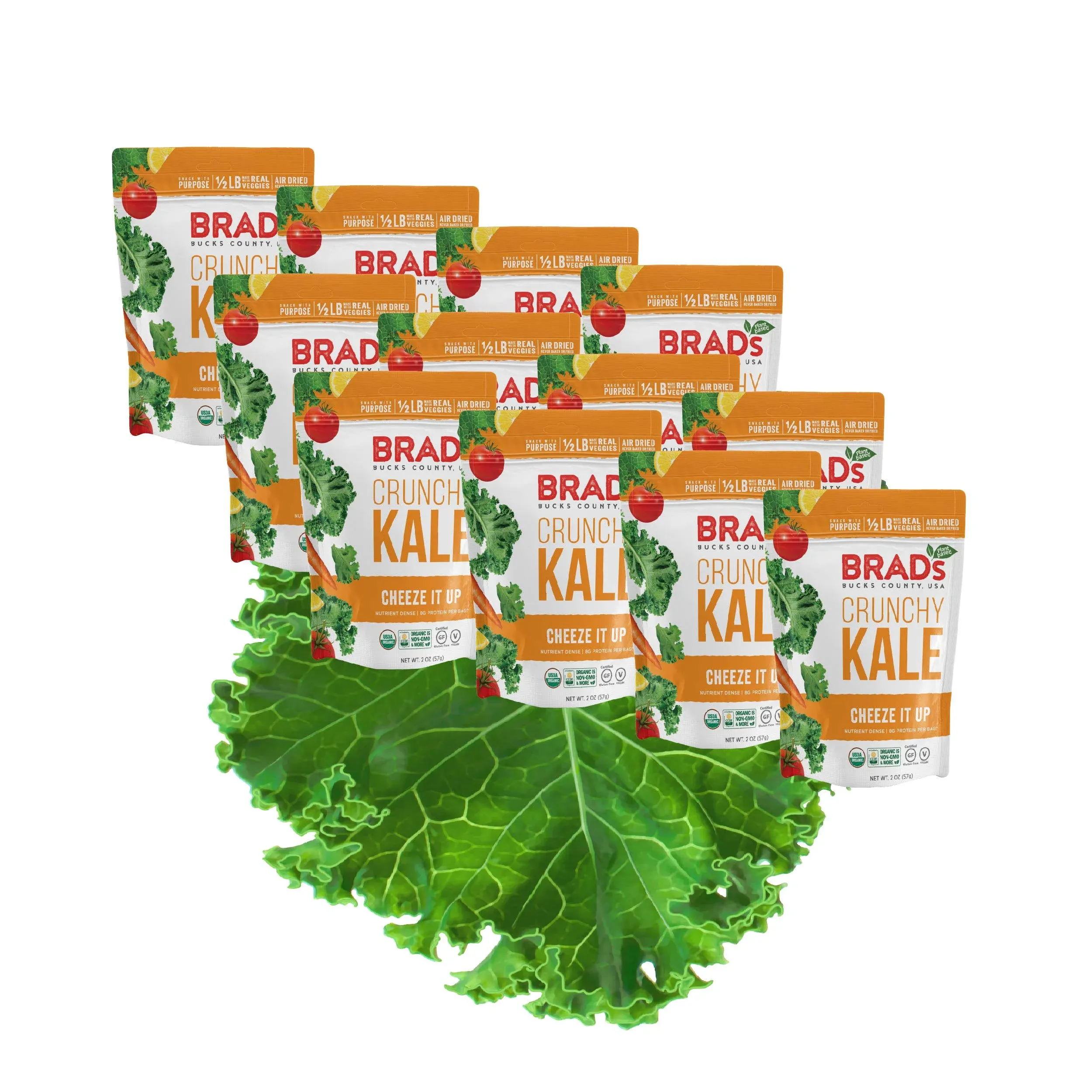 Brad's Plant Based Crunchy Kale Cheeze It Up