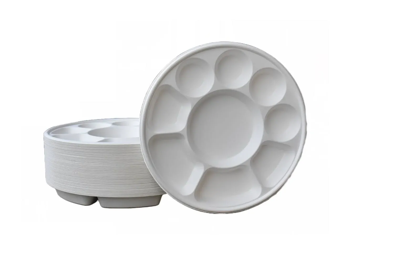 Eco-Friendly 9 Compartment Thali Biodegradable White Plates Made with Sugarcane ...