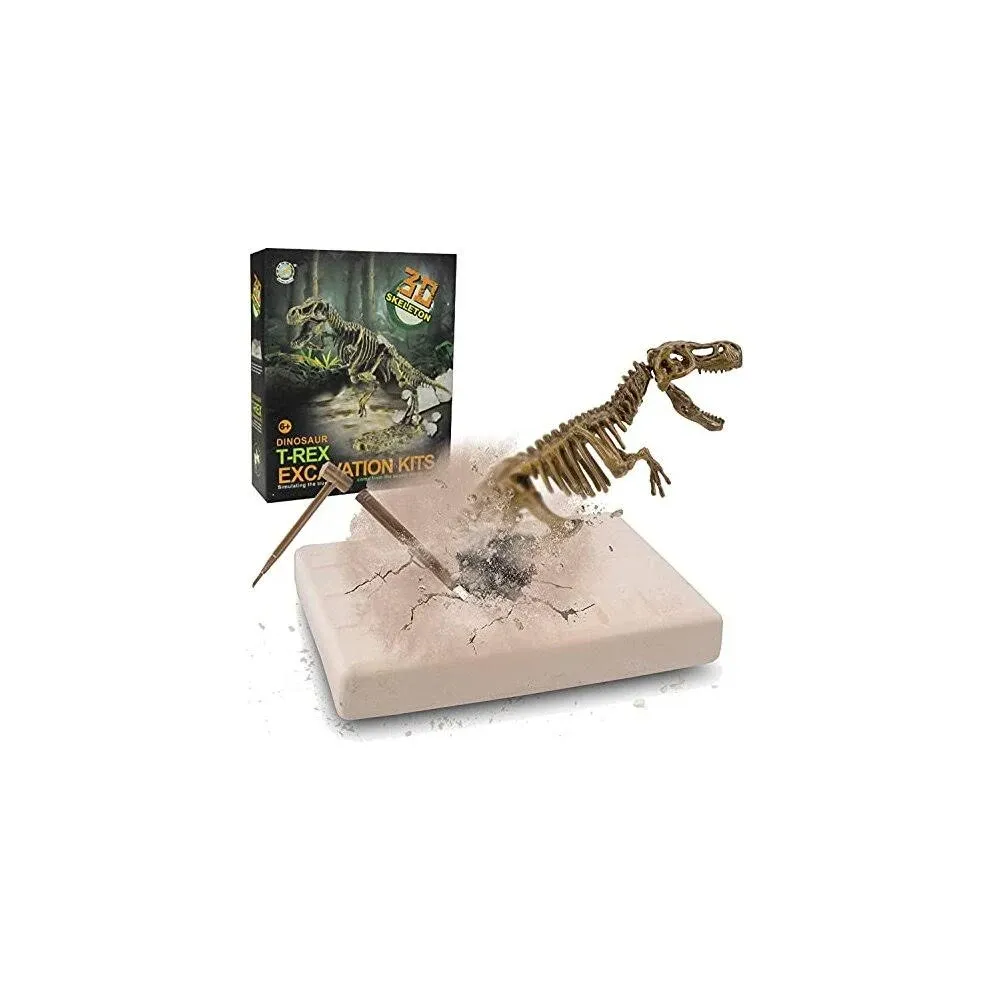 Dig & Discover Dino Tyrannosaurus Rex Dinosaur Skeleton 3D Fossil Bones Excavation Science Kit