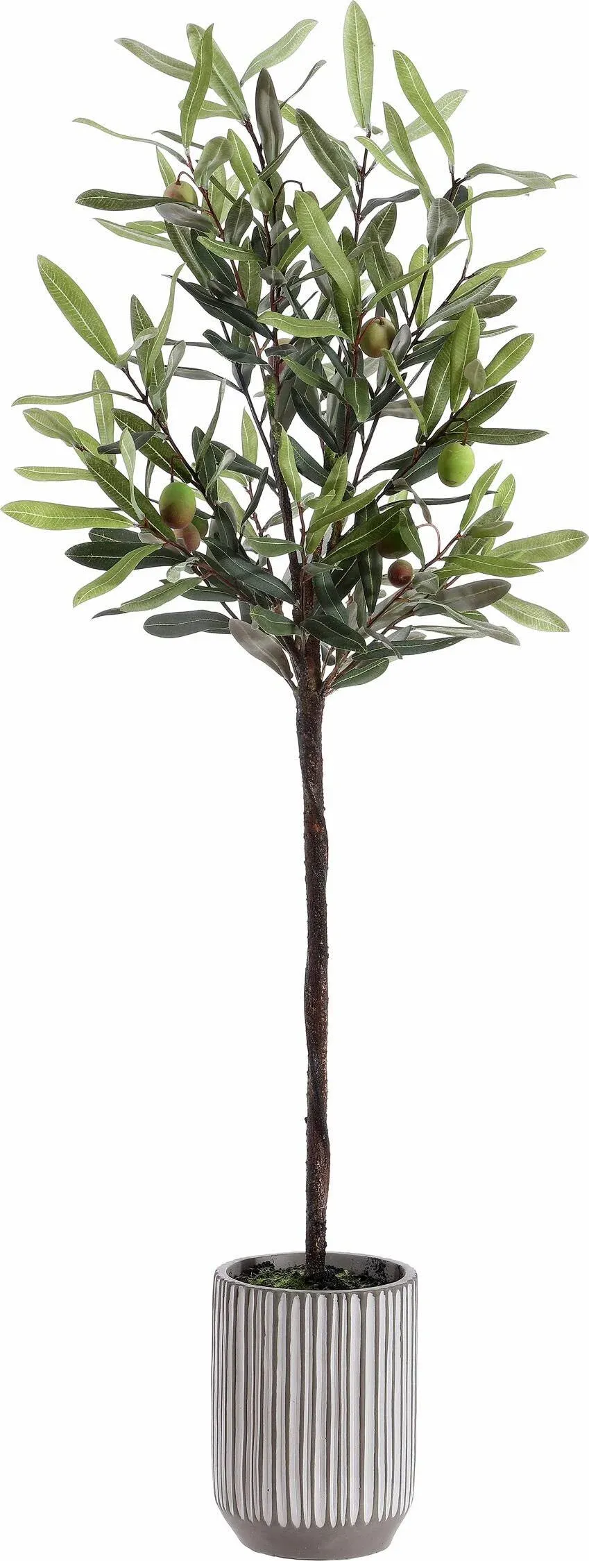 Safavieh Faux Olive Potted Tree