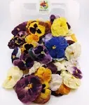 Edible Flower Freshly Preserved Freeze-Dried (0.2 oz) | Edible Pansy |Dried Edible Flowers | Edible Flowers for Cakes | Edible Flowers for Cocktails | Edible Flower Garnish | Freeze-Dried Wholesalers