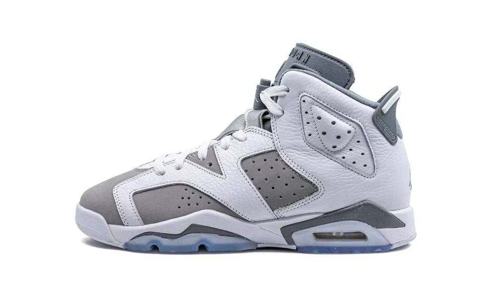 Air Jordan 6 Retro 'Cool Grey' 13