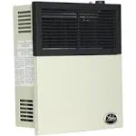 Ashley 11,000 BTU Direct Vent Propane Wall Heater